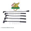Blueprint Series 2 2A 3 2.25 90 110 2.5 Petrol Distributor Leads Set ERC3256