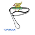Dayco Discovery 2 V8  Auxillery Fan Belt No ACE No A/C ERR6899